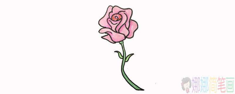 粉红色蔷薇花朵简笔画