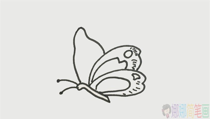 教你画简单好看的蝴蝶简笔画
