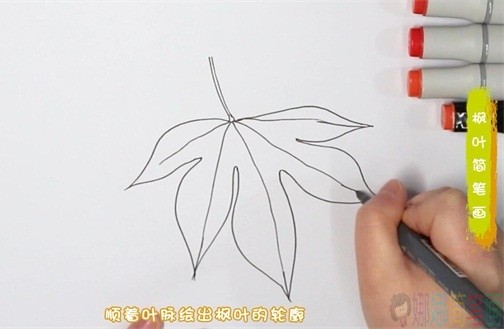 枫叶简笔画,秋天的枫叶怎么画