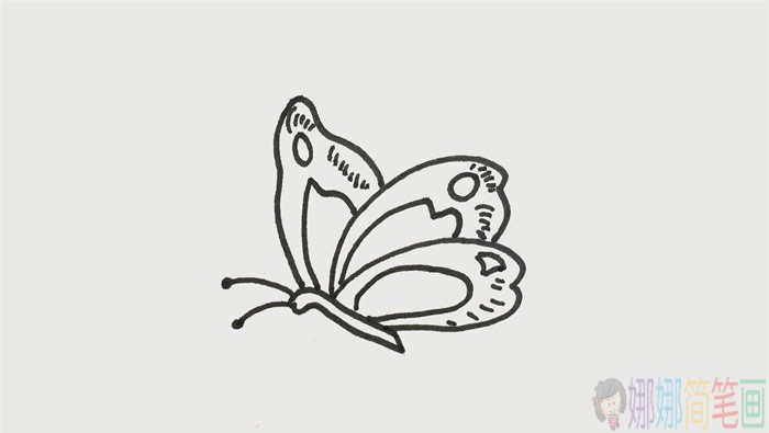 教你画简单好看的蝴蝶简笔画