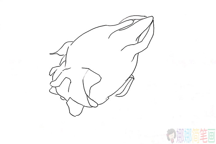 火龙果简笔画,水果简笔画大全