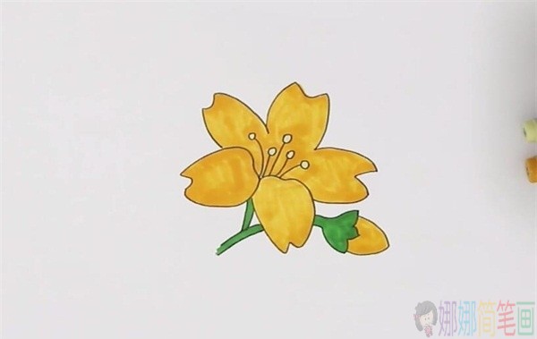 黄色花朵简笔画