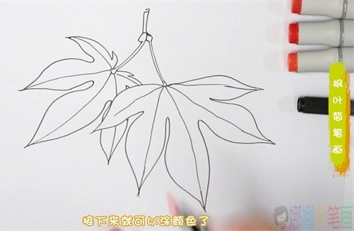 枫叶简笔画,秋天的枫叶怎么画