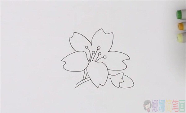黄色花朵简笔画