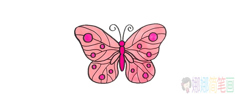 彩色蝴蝶简笔画,少儿绘画蝴蝶