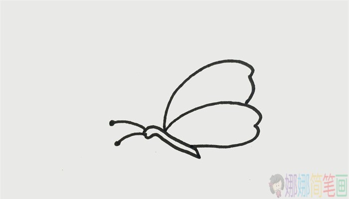 教你画简单好看的蝴蝶简笔画