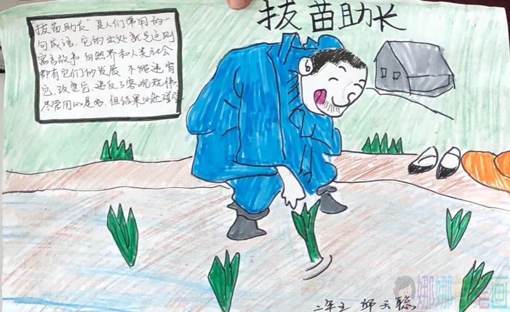 拔苗助长寓言故事手抄报
