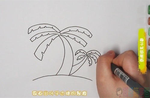 椰子树简笔画,椰子树儿童绘画