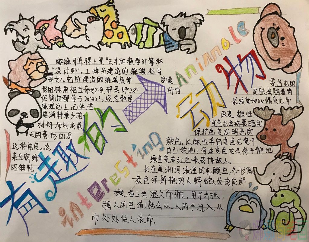 有趣的动物少儿手抄报