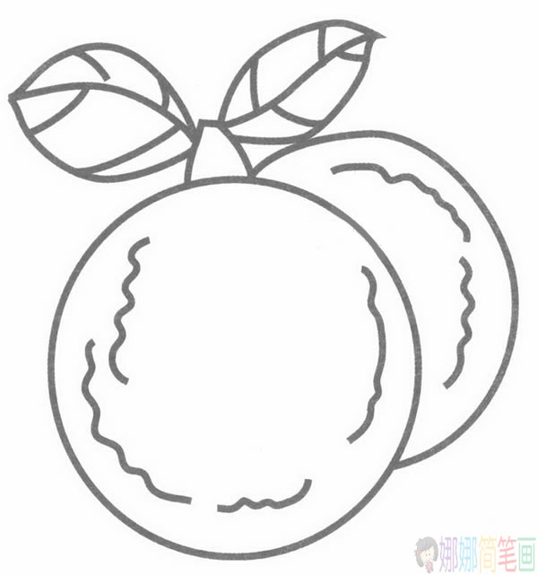 杨梅简笔画,杨梅怎么画