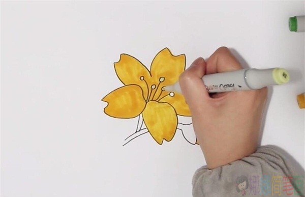 黄色花朵简笔画