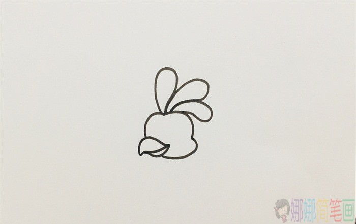 孔雀简笔画,孔雀怎么画好看