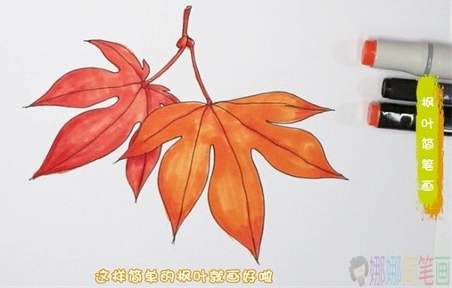 枫叶简笔画,秋天的枫叶怎么画