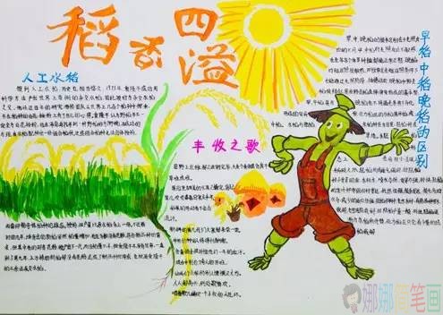 世界粮食节手抄报,节约粮食手抄报