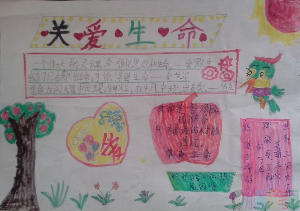 珍爱生命手抄报,热爱生命小报
