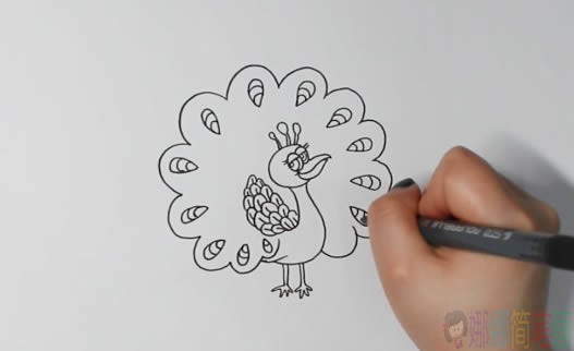 孔雀简笔画画法,孔雀简笔画