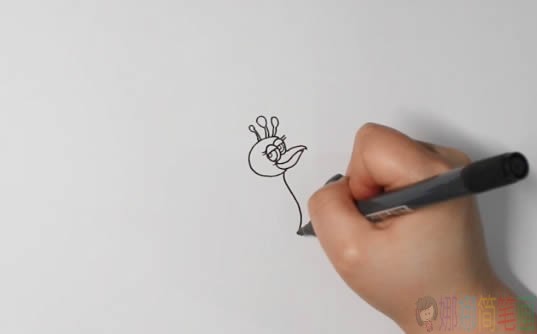 孔雀简笔画画法,孔雀简笔画