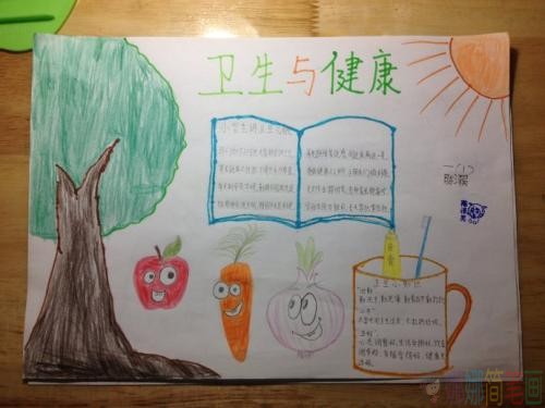 卫生知识手抄报,卫生小报图片