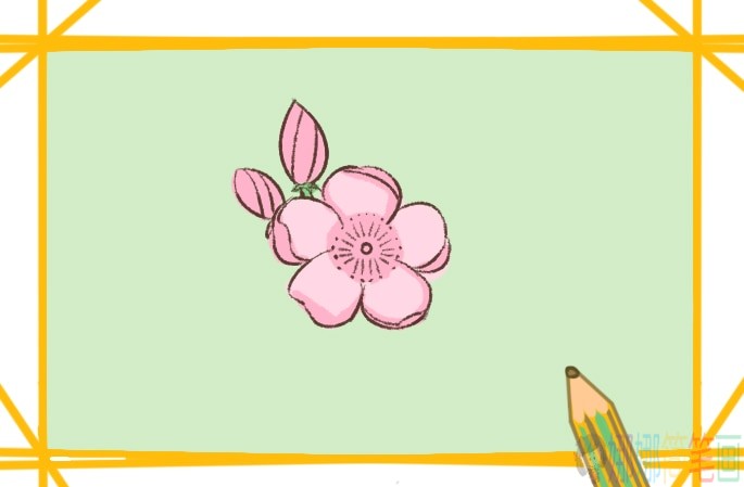 粉红色樱花简笔画