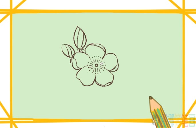 粉红色樱花简笔画