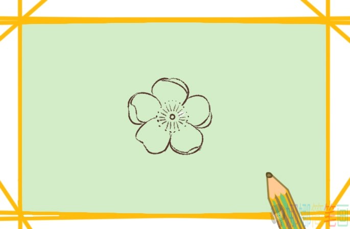 粉红色樱花简笔画