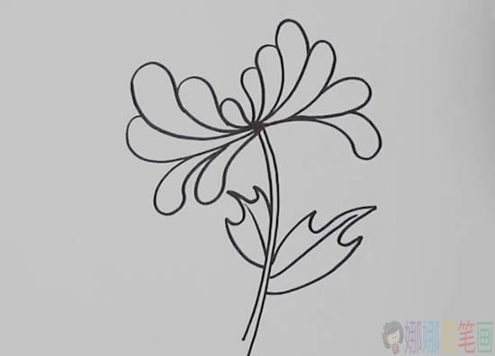 菊花简笔画,菊花的画法步骤