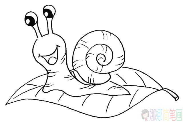 蜗牛简笔画图片,蜗牛简笔画教程