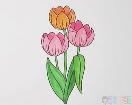 郁金香花朵彩色简笔画