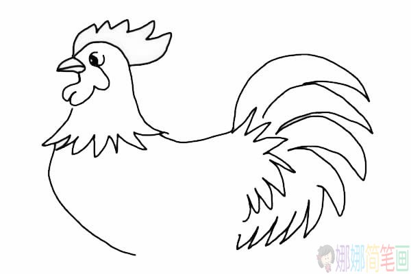 简单易学的大公鸡简笔画画法