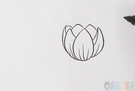 郁金香花朵彩色简笔画