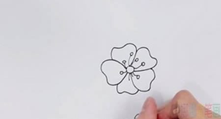 樱花少儿绘画,樱花的画法