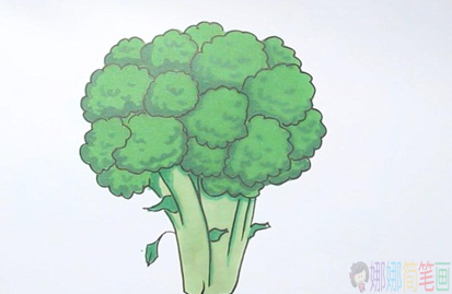 西兰花简笔画,西兰花怎么画