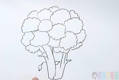西兰花简笔画,西兰花怎么画