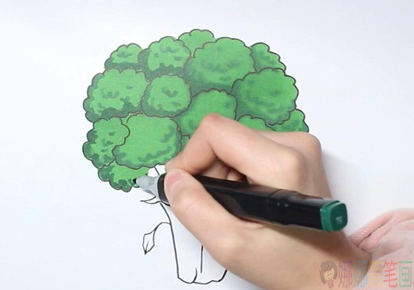 西兰花简笔画,西兰花怎么画