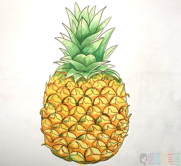 菠萝简笔画画法,菠萝怎么画