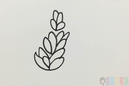 薰衣草少儿简笔画教程步骤图解